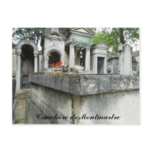 Encontre um gato! (texto)