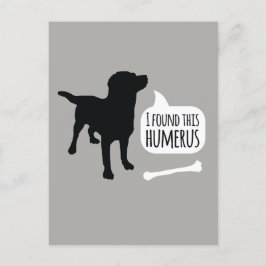 Cartão Postal Encontrei Este Cachorro Humeroso com Cartão-Postal
