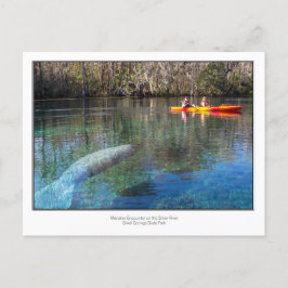 Cartão Postal Encontro do Manatee
