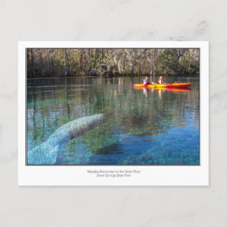 Cartão Postal Encontro do Manatee