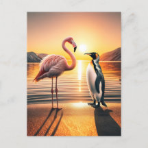 Encontro Flamingo e Penguin Sunset