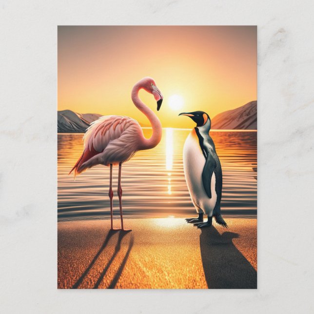 Cartão Postal Encontro Flamingo e Penguin Sunset (Frente)