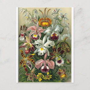 Cartão Postal encontro romântico flores rsvp colorido chique