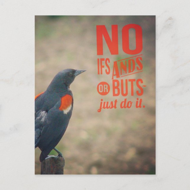 Cartão Postal Encorajamento à Blackbird (Frente)