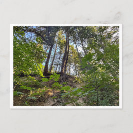 Cartão Postal encosta