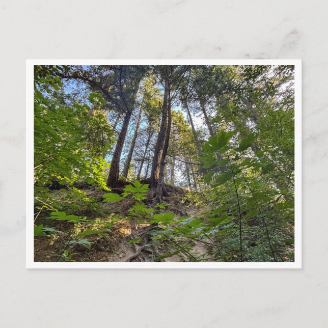 Cartão Postal encosta (Frente)