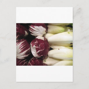 Cartão Postal Endigo da Bélgica