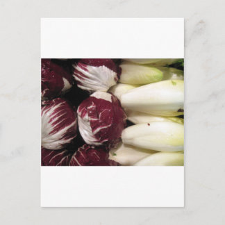 Cartão Postal Endigo da Bélgica