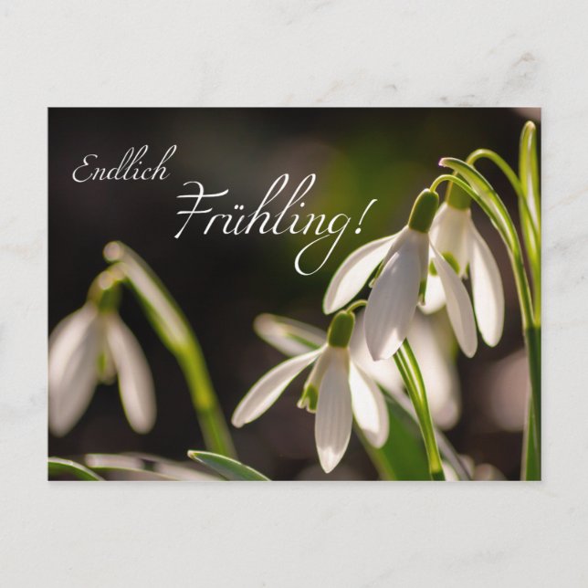 Cartão Postal Endlich Frühling! (Frente)