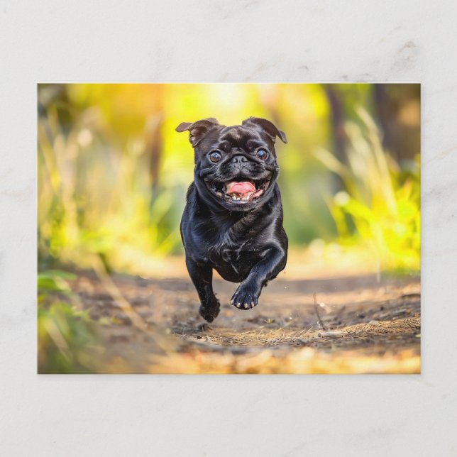 Cartão Postal Energetic Pug Running Through Forest (Frente)