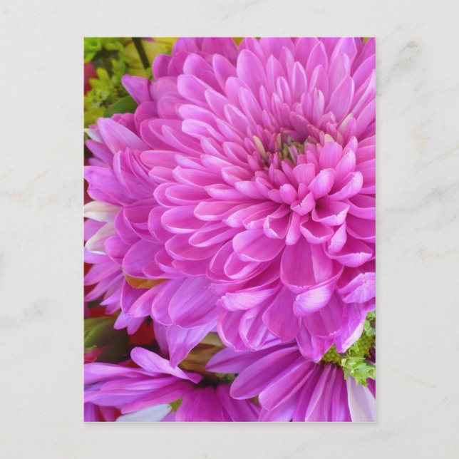 Cartão Postal Energia de flor rosa (Frente)