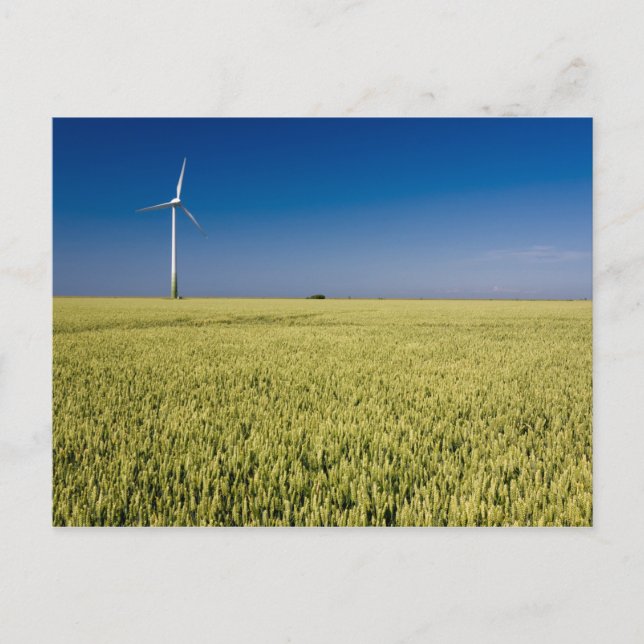 Cartão Postal Energia eólica (Frente)