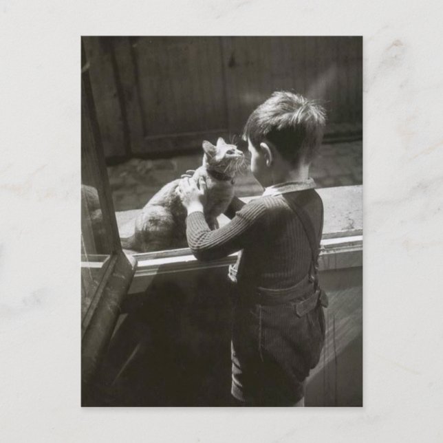 Cartão Postal Enfant et son chat - Willy Ronis (Frente)