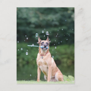 Cartão Postal Engano: Seifenblasen erstellen