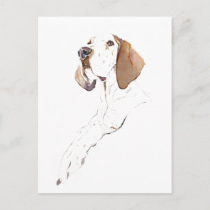 Cartão Postal English Pointer Postcard, Watercolor Painting