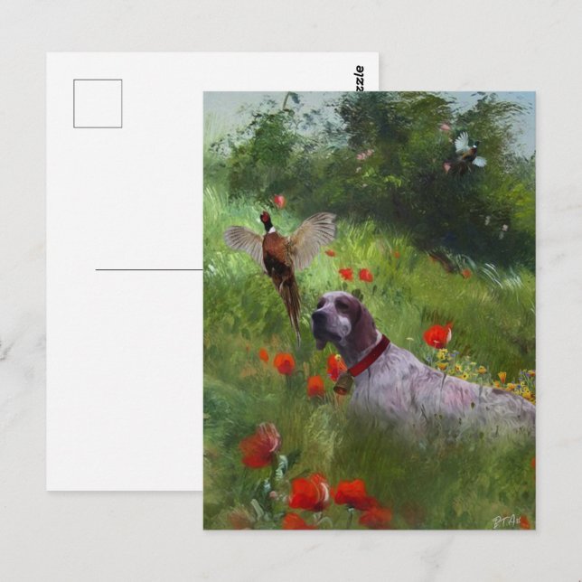 Cartão Postal English Setter , caça aos faasant (Frente/Verso)