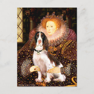 Cartão Postal English Springer (Liv) - Queen