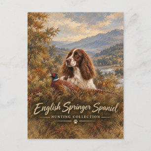 Cartão Postal English Springer Spaniel
