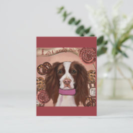Cartão Postal English Springer Spaniel   