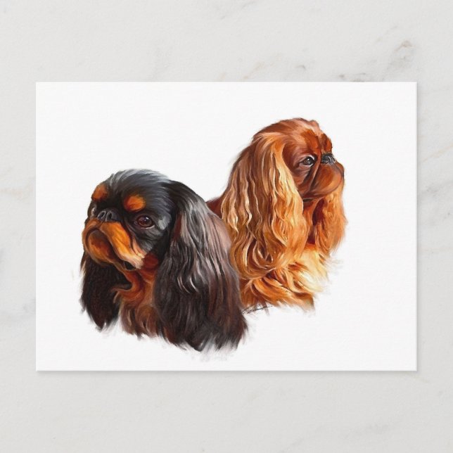 Cartão Postal English Toy Spaniel (Frente)