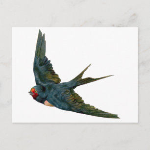 Cartão Postal Engolir