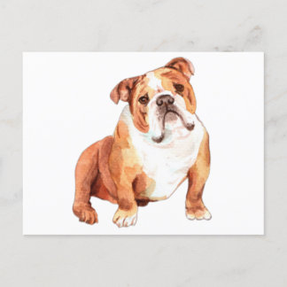 Cartão Postal Engraçada e engraçada Buldogue Britânico sentado