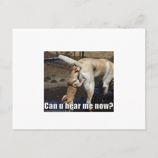 Cartão Postal engraçado (Frente)