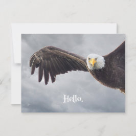Cartão Postal Engraçado Águia Alô Todos os Vazios de Ocasião