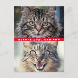 Cartão Postal Engraçado Antes E Depois De 2020 Cat Como Você Est