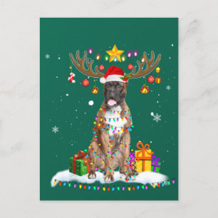 Cartão Postal Engraçado Boxer Cachorro Natal Tee Reindeer Natal