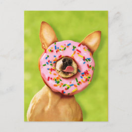 Cartão Postal Engraçado Cachorro Chihuahua com Rosquinha de aspe