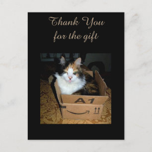 Cartão Postal Engraçado Calico Cat na caixa Obrigado Cartão-post