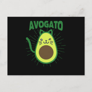 Cartão Postal Engraçado Cinco De Mayo Gata Moow Mexicano