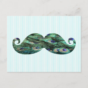 Cartão Postal Engraçado Colorido Penas de Peacock Mustache