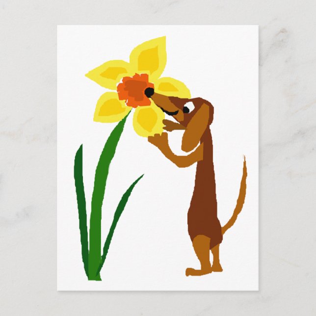 Cartão Postal Engraçado Dachshund Cheirando Daffodil Amarelo (Frente)