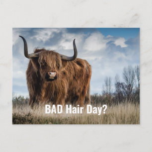 Cartão Postal Engraçado Dia de Cabelo Mau Foto de Vaca Highland?