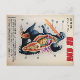 Cartão Postal Engraçado diagrama de anatomia japonês Kaiju