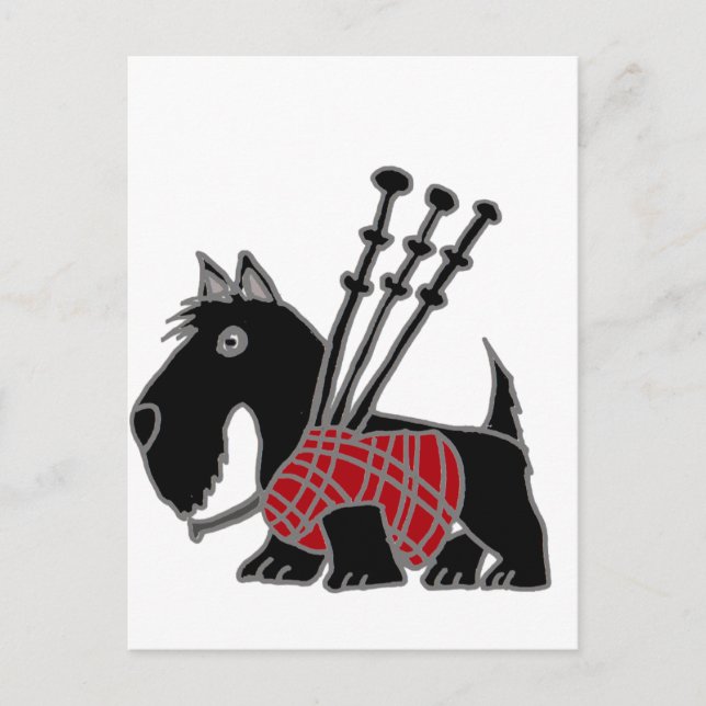 Cartão Postal Engraçado escocês Terrier cachorrinho Playing Bagp (Frente)