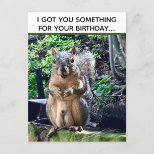 Cartão Postal Engraçado Esquilo Deez Loucos Aniversário Inapropr