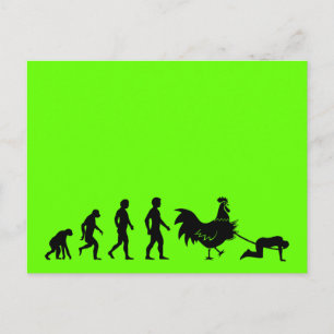 Cartão Postal Engraçado evolução do frango