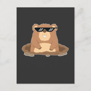 Cartão Postal Engraçado Groundhog com óculos escuros humor