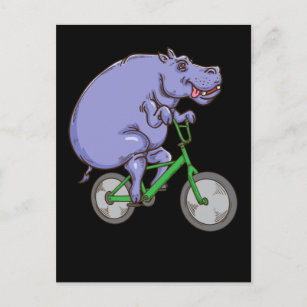 Cartão Postal Engraçado Hippo Andando Bicicleta Hippopotamia Cri