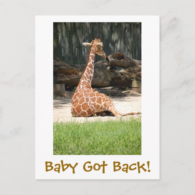 Cartão Postal Engraçado Humorístico (Frente)