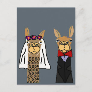 Cartão Postal Engraçado Llama Bride e Arte de Casamento de Groom