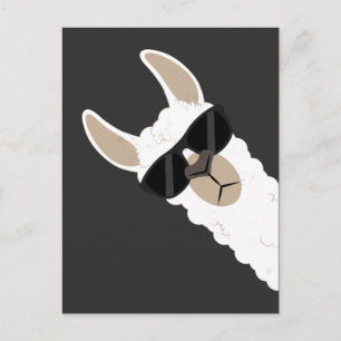 Cartão Postal Engraçado Llama com óculos de sol legal alpaca