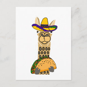 Cartão Postal Engraçado Llama comendo Taco Cartoon