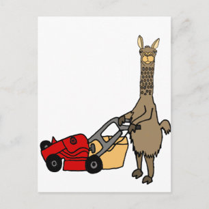 Cartão Postal Engraçado Llama Empurrando Cartografia do Leão d