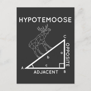 Cartão Postal Engraçado Matemática Pun Moose Hipotenusa Matemáti