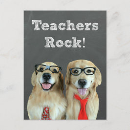 Cartão Postal Engraçado Ouro Retriever Apreciação de Professores