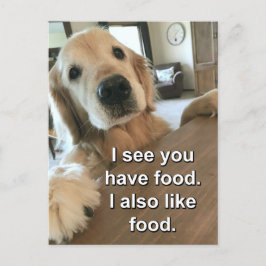 Cartão Postal Engraçado Ouro Retriever Eu Vejo Que Você Tem Comi